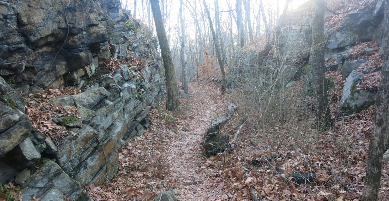 Wildcat Ridge Trail in a rock cut for the former Oreland Branch Railroad - Photo by Daniel Chazin
