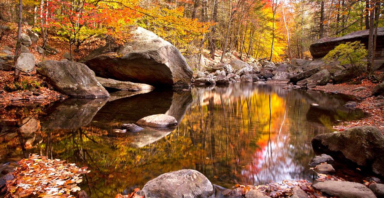 Autumn reflections along the Stony Brook Trail - Photo credit: Susan Magnano