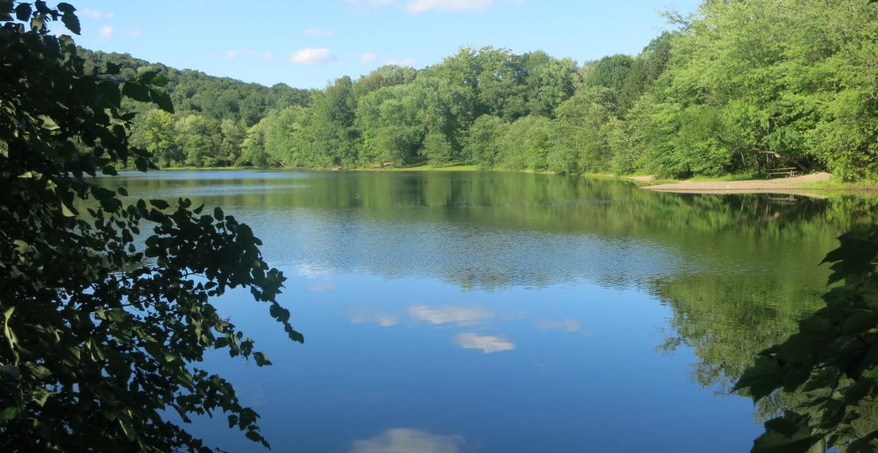 View of Scarlet Oak Pond from the Vista Loop Trail - Photo credit: Daniel Chazin