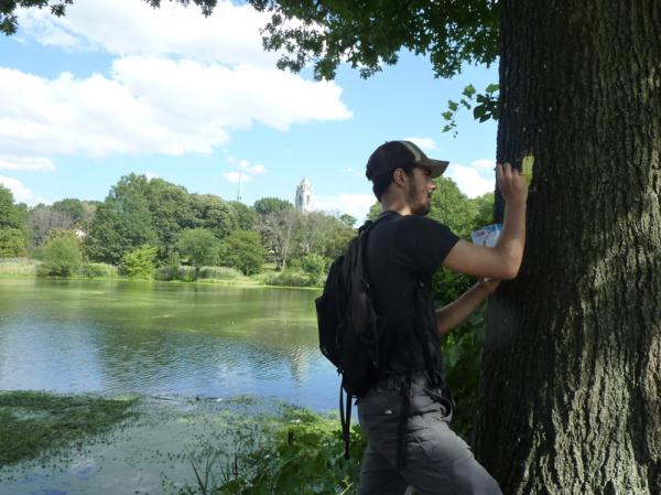 Pete Avalar paints a Lenape Trail blaze in Branch Brook Park. A Newark cathedral is in the background.
